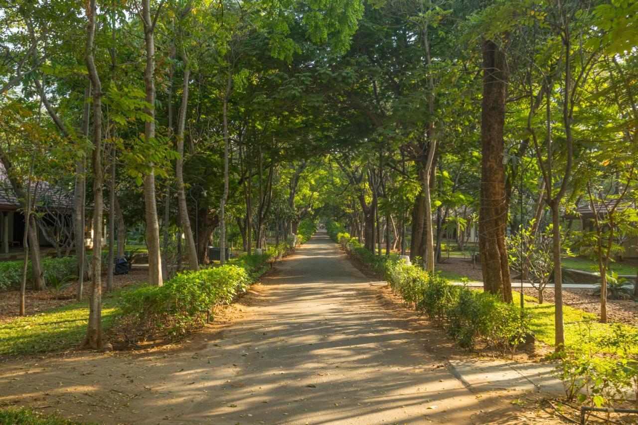 Heritage Maduraj Zewnętrze zdjęcie A road in the park